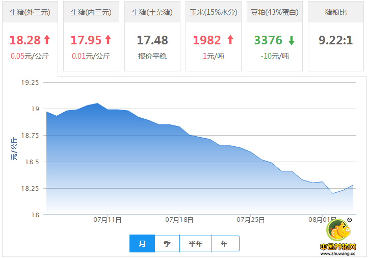 涨了!屠企压不住 猪价反弹明显!养猪人熬过来了?