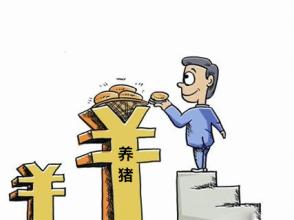 8月猪价还有一波好行情 是真的么?