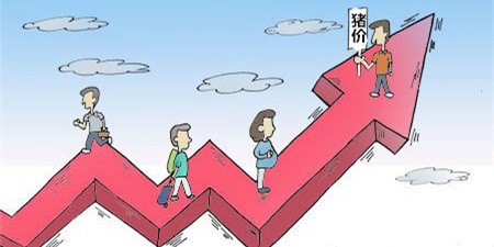 猪价短期无风险 向平稳过渡的概率较大
